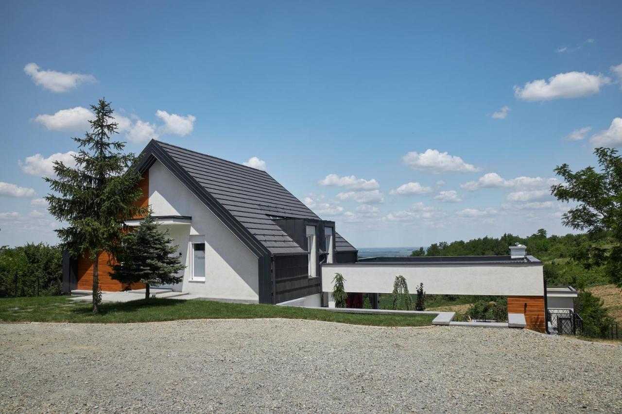 Riverside Pool Villa-Sremski Karlovci Exterior photo
