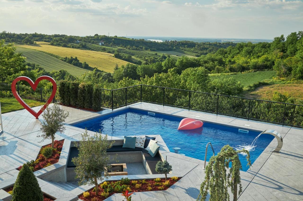 Riverside Pool Villa-Sremski Karlovci Exterior photo