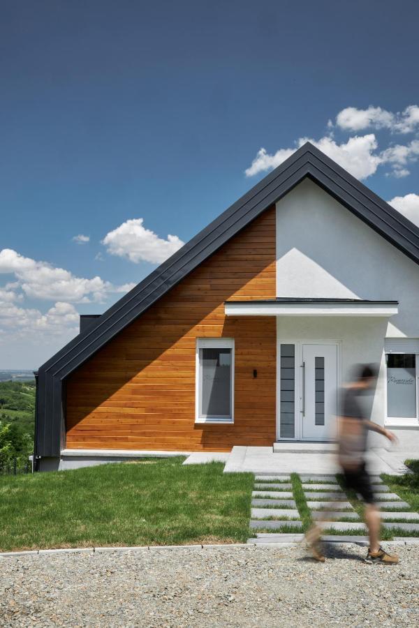 Riverside Pool Villa-Sremski Karlovci Exterior photo