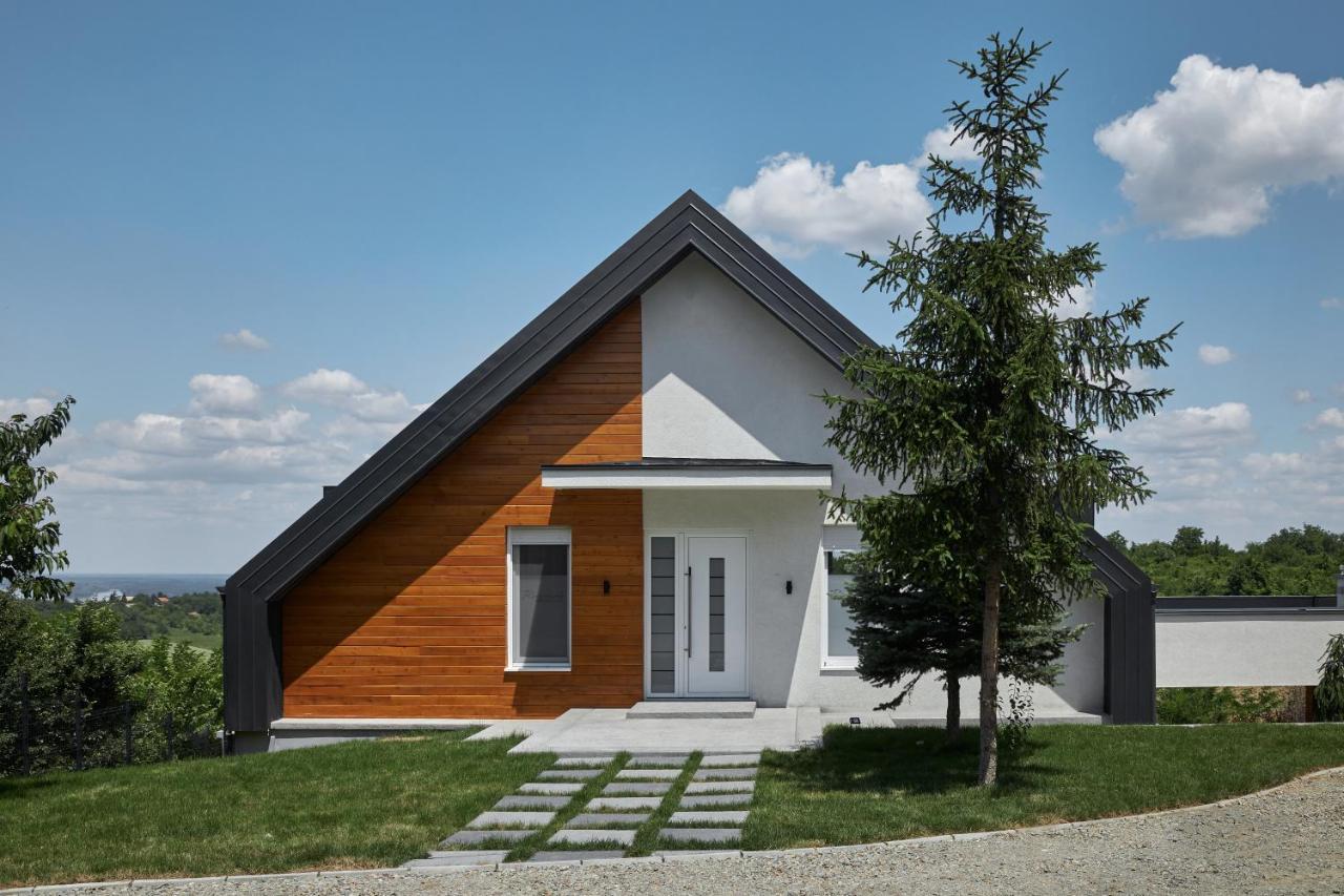 Riverside Pool Villa-Sremski Karlovci Exterior photo