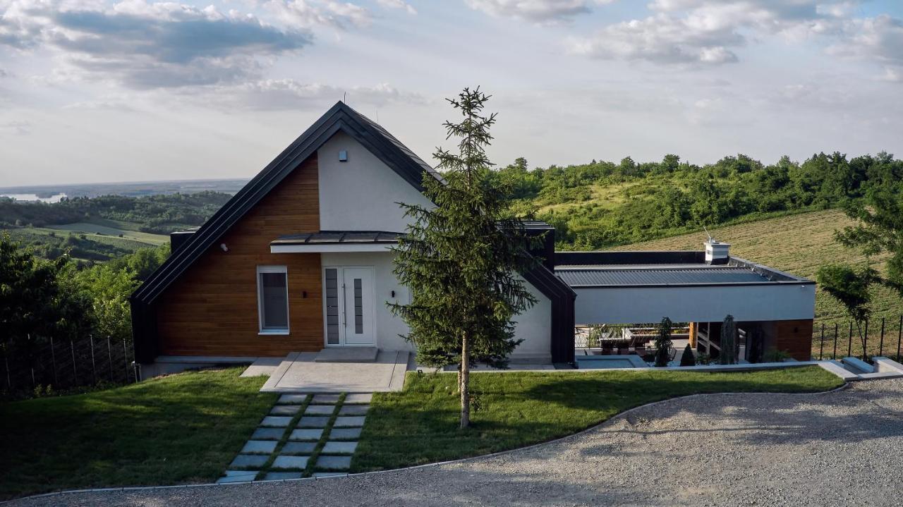 Riverside Pool Villa-Sremski Karlovci Exterior photo