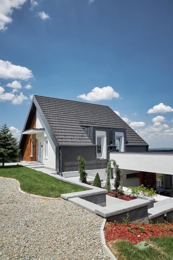 Riverside Pool Villa-Sremski Karlovci Exterior photo